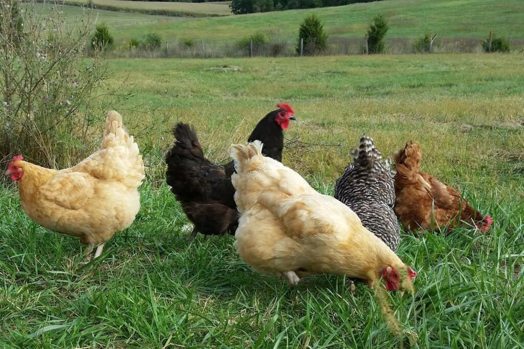 루레이 Madeline Farms 빌라 외부 사진