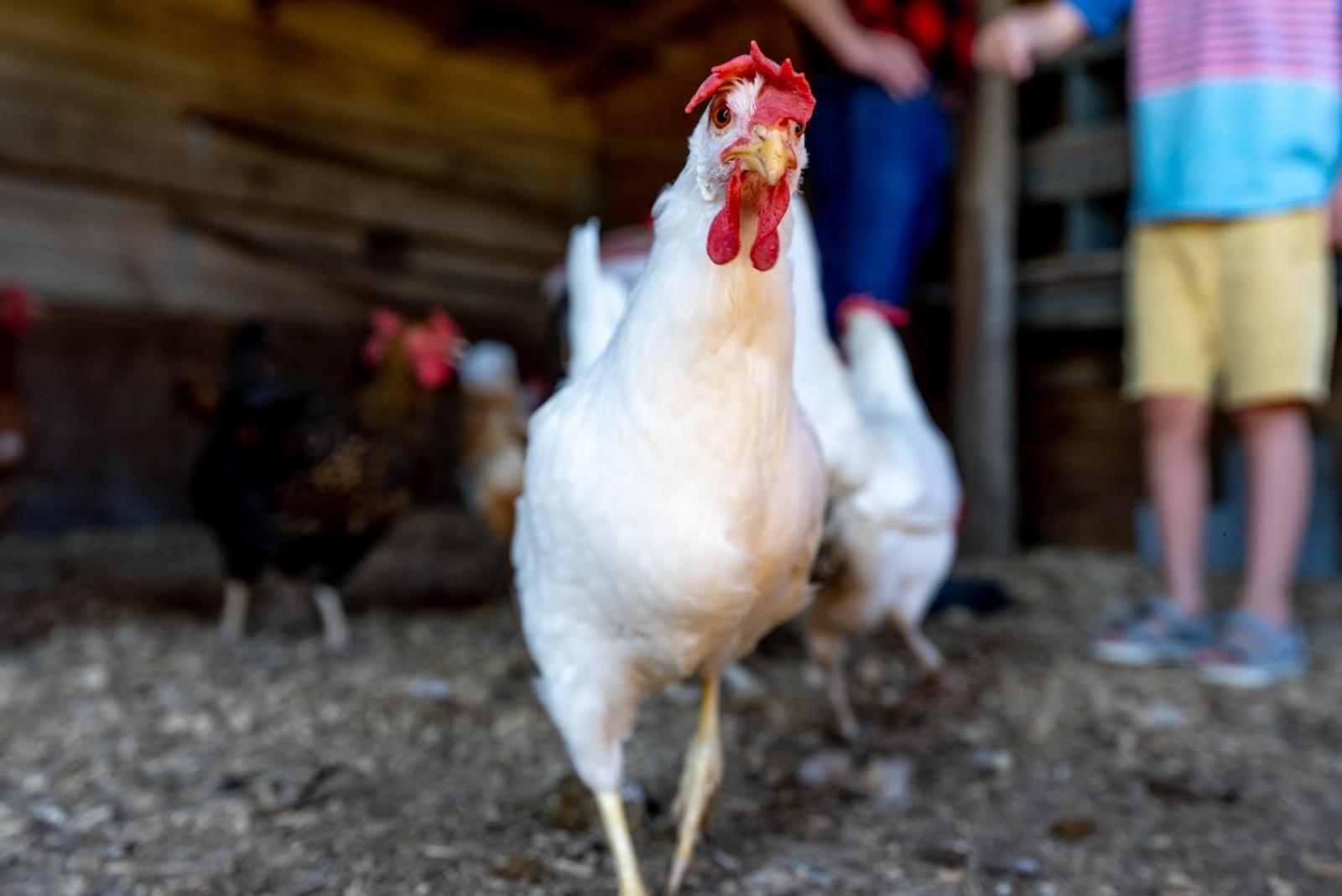 루레이 Madeline Farms 빌라 외부 사진