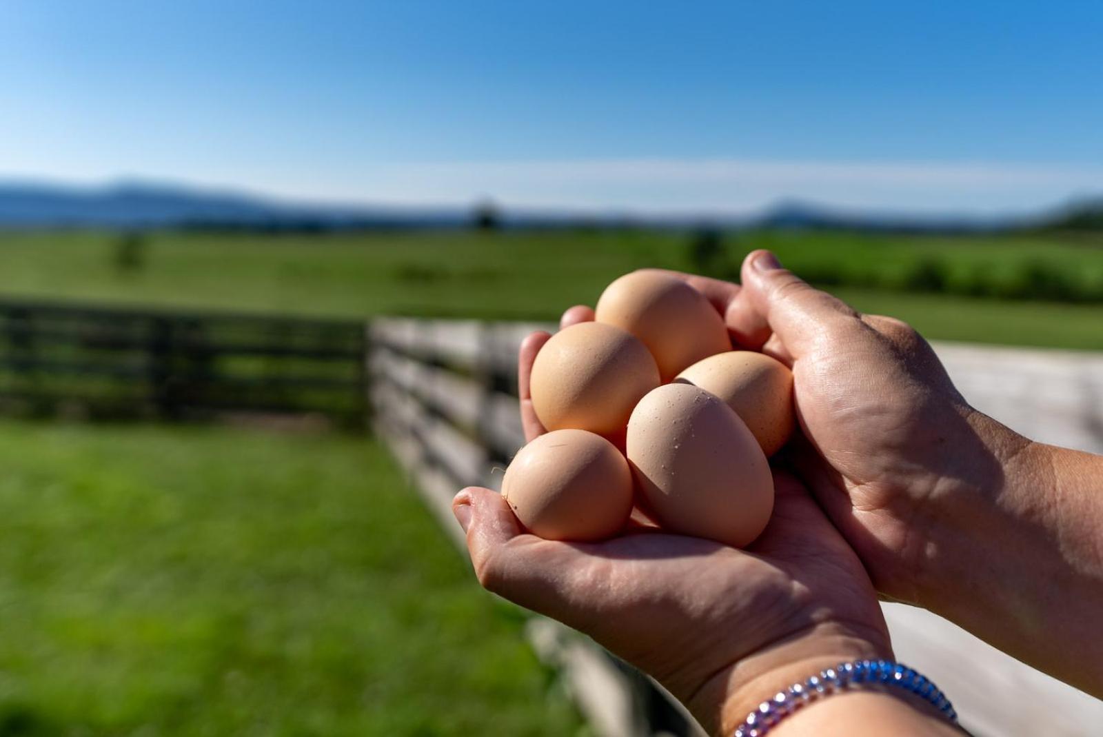 루레이 Madeline Farms 빌라 외부 사진