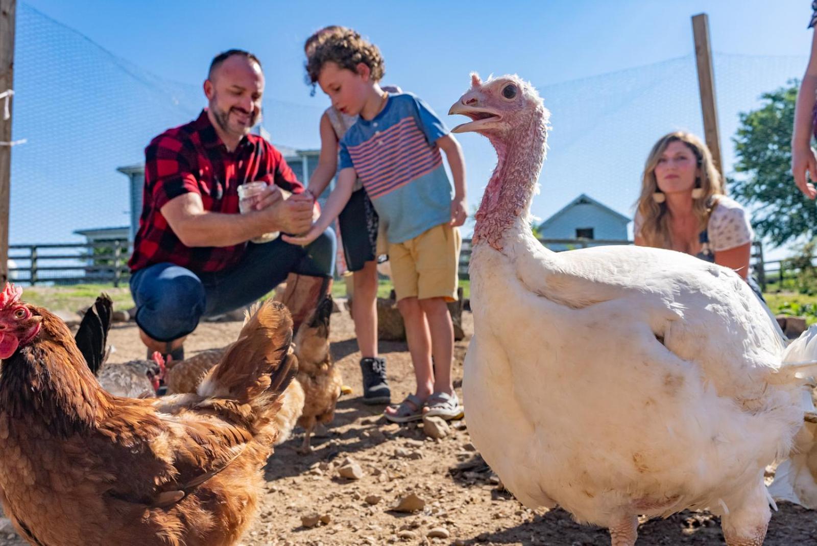 루레이 Madeline Farms 빌라 외부 사진